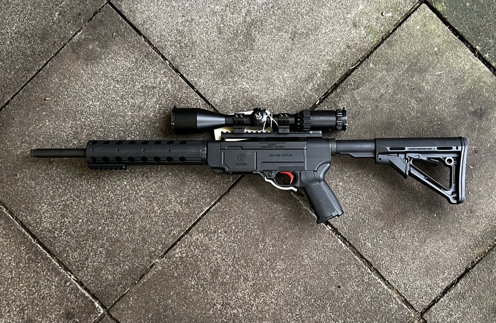 Ruger SR-22