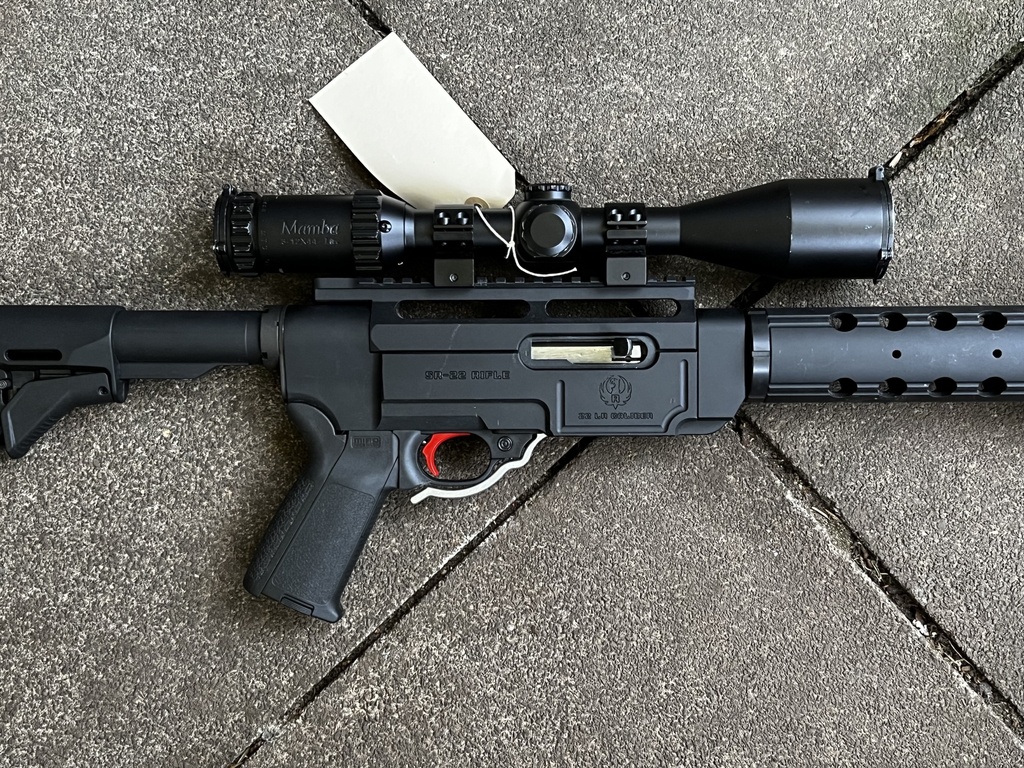 Ruger SR-22